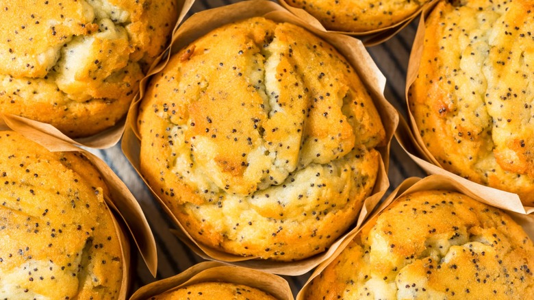 Aerial view of lemon poppy seed muffins