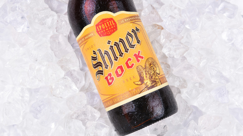 A bottle of shiner bock on ice