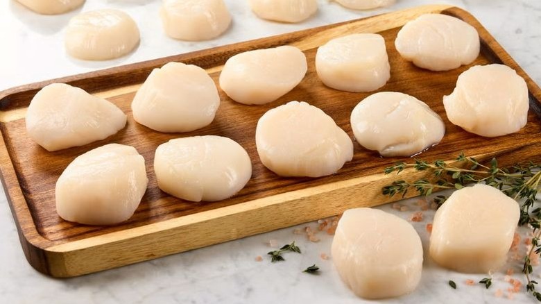 Raw scallops lined up on a small wooden board