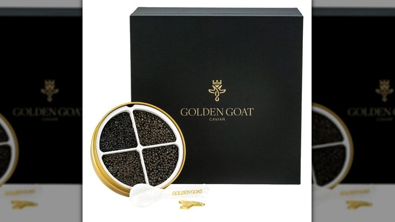 Open can of Golden Goat caviar tin with black gift box