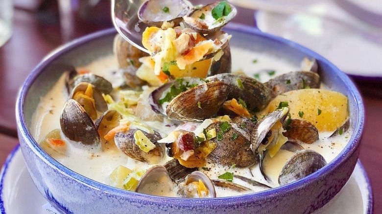 Clam chowder, Hog Island Oyster Co.