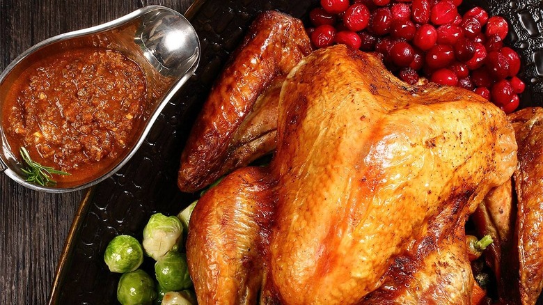 Turkey and gravy closeup