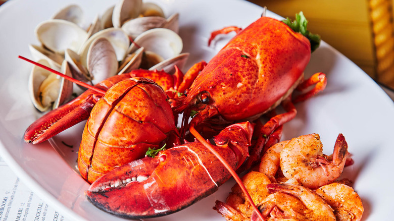 a whole lobster, clams, and shrimp on a white plate