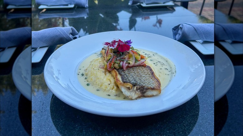 Elegant entree of pan seared striped bass plated over polenta