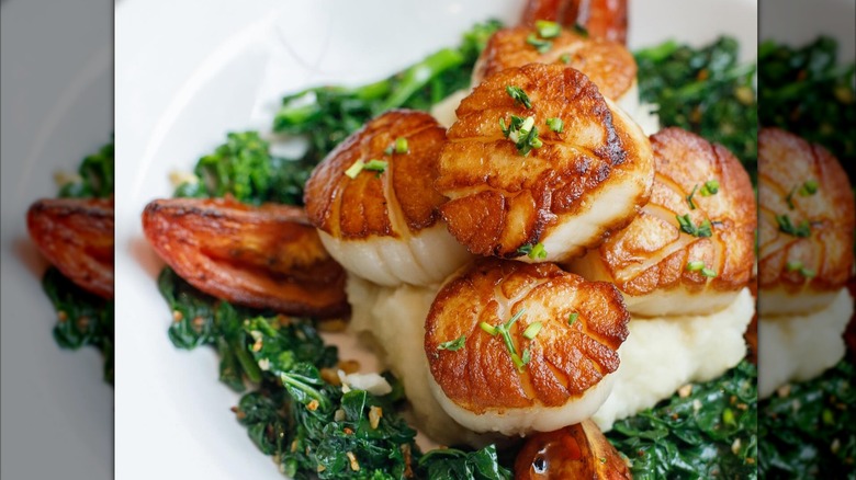 seared scallops over mashed potatoes and tomato