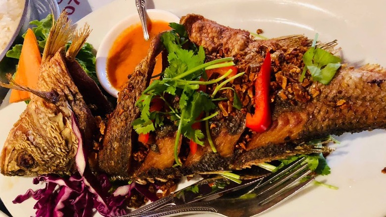 A plate of fried fish