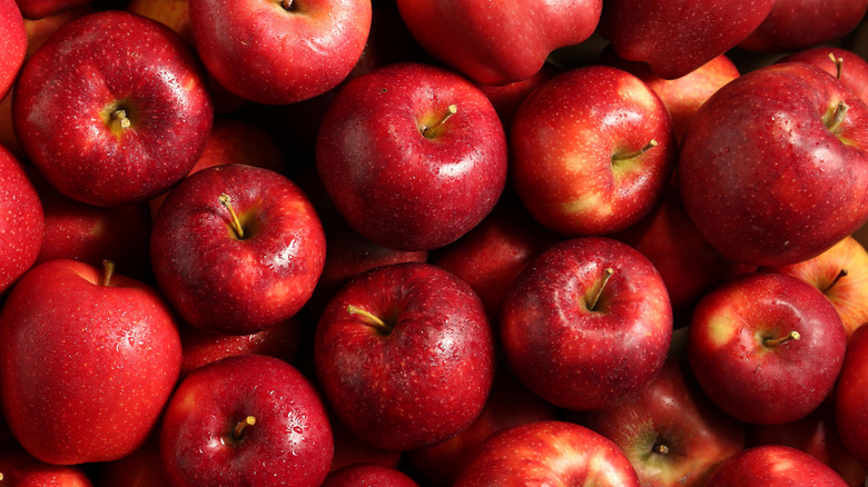 Top angle shot of red apples