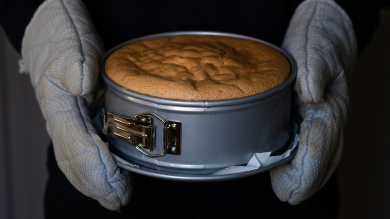 Person holding cake in springform pan