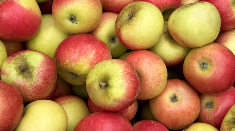 Pile of Pippin apples