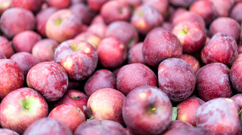 Stacks of red Rome apples