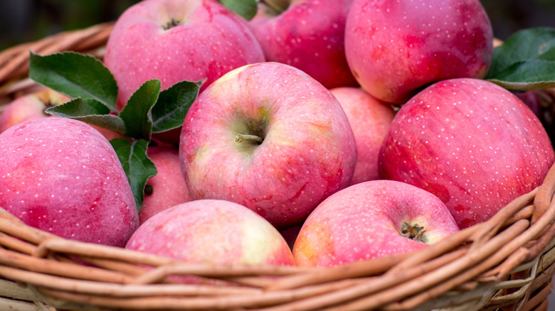 Basket of Pink Lady apples