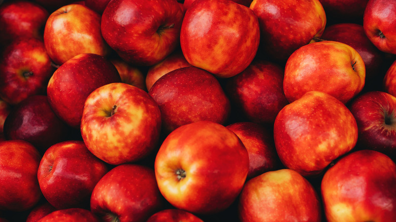 pile of red apples