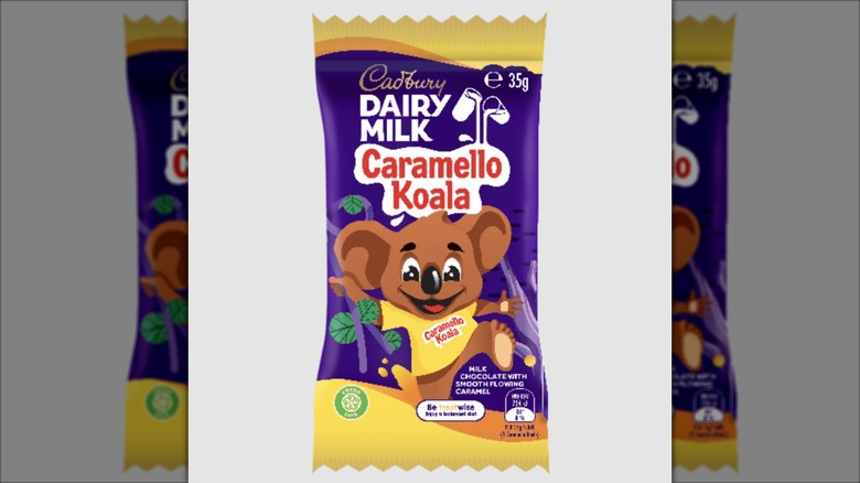 Caramello Koala