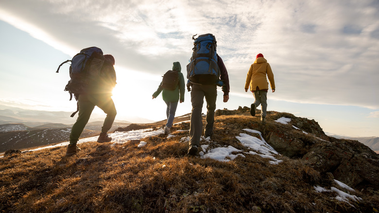 hikers with packs on a trail