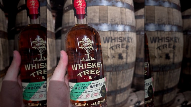 hand holding Whiskey Tree bourbon bottle
