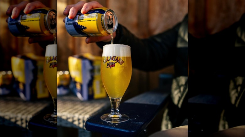 A hand puring beer from a yellow and blue can on a paint that reads "Allagash" and has a logo of a brown leaf