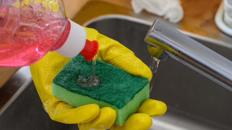 gloved hand pouring dish soap on a sponge