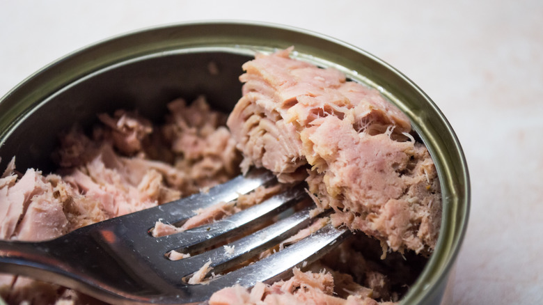 An open can of tuna with a fork