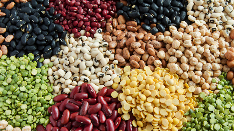 Colorful mix of dried beans