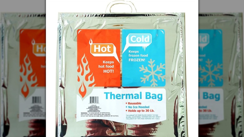 Silver hot and cold thermal bag with handle