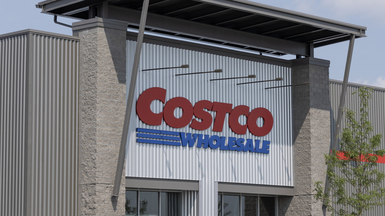 Costco sign beside small tree