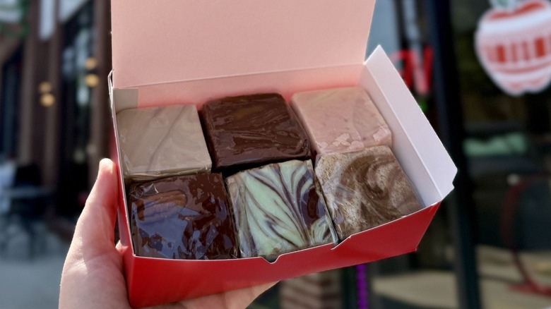 Hand holding open box of assorted fudge