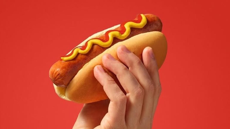 Hand holding up hot dog with ketchup and mustard against red background