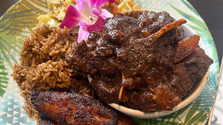 Plate of Queen Trini Lisa's oxtail with rice and peas, plantains, and cabbage, and a pink orchid garnish