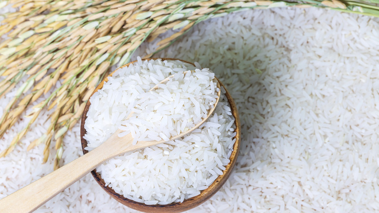 Top view of wooden spoon with rice on rice in wooden bowl on rice and rice ears background