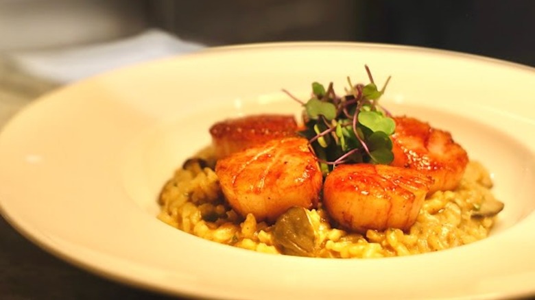 Mushroom risotto with scallops on top
