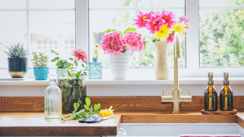 A view of summer flowers and other plants on window sill in kitchen.