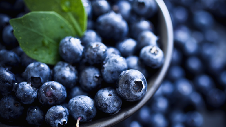 Bowl of blueberries 