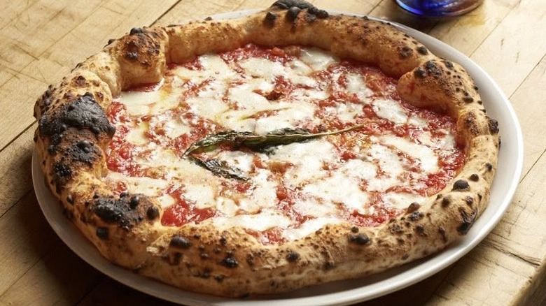 A freshly made Neapolitan pizza