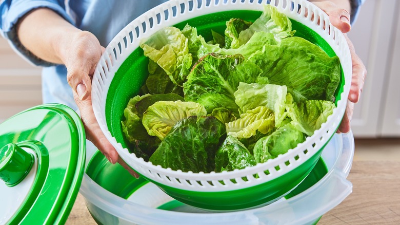 woman holding salad spinner