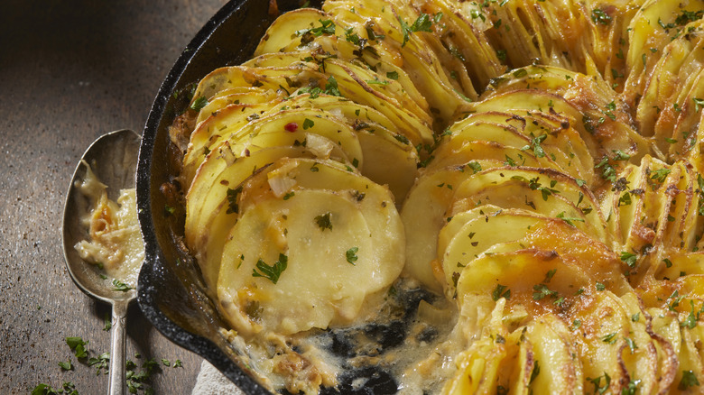 Cheese and herb potatoes au gratin