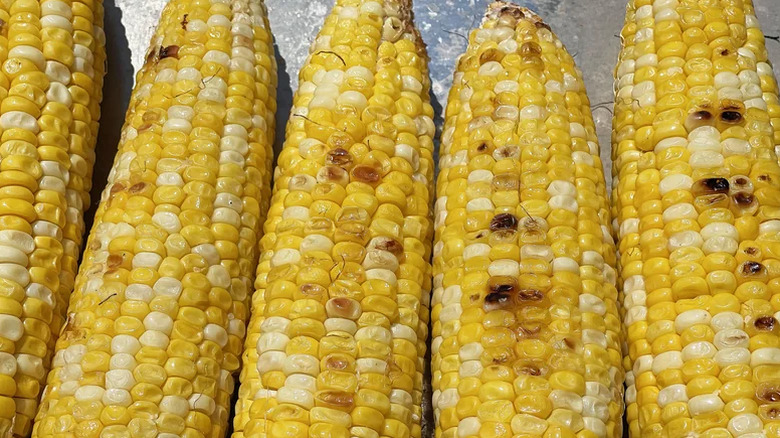 Close up of grilled corn on the cob