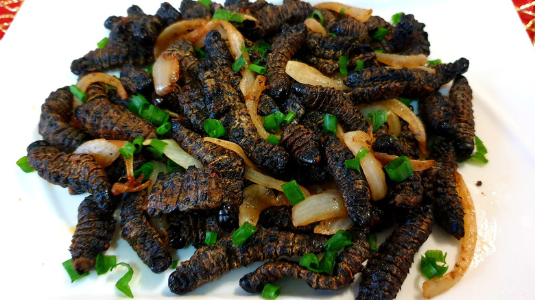 plate of cooked mopane worms
