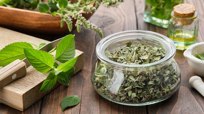 Dried mint leaves in jar