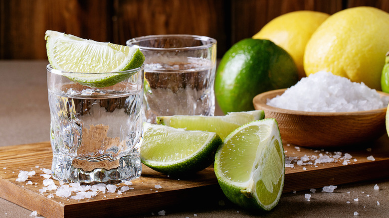 Tequila in rocks glasses with lemons, limes, and salt