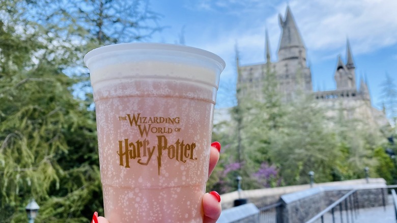  Universal Studios Wizarding World of Harry Potter Park