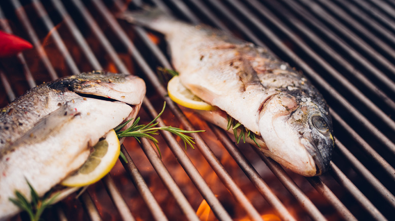 fish cooking on grill