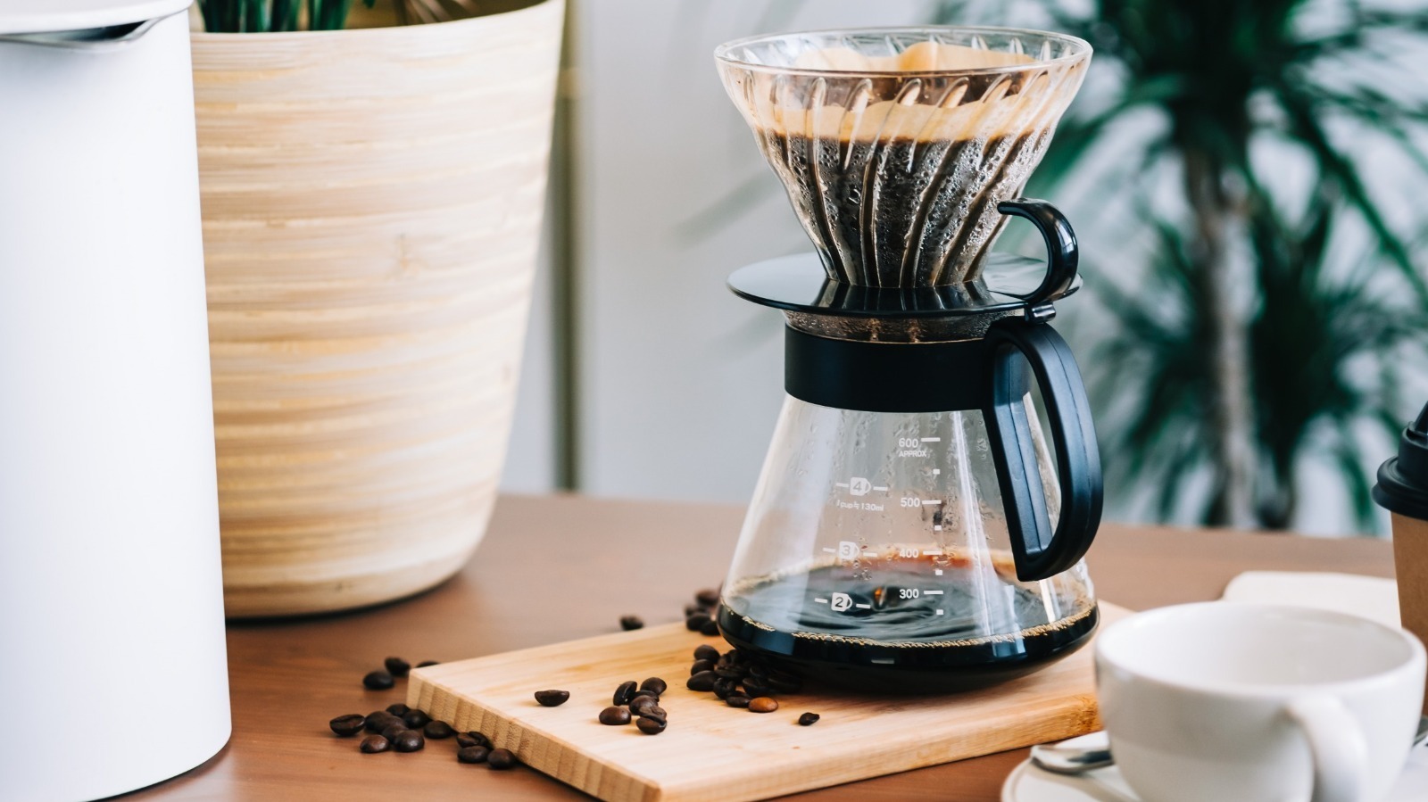 Everything you need to know to brew great pour over coffee - Perfect Daily  Grind