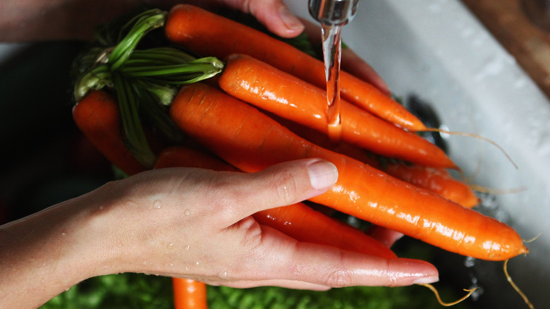hands washing carrots