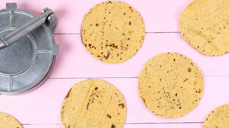 Homemade tortillas and a tortilla press