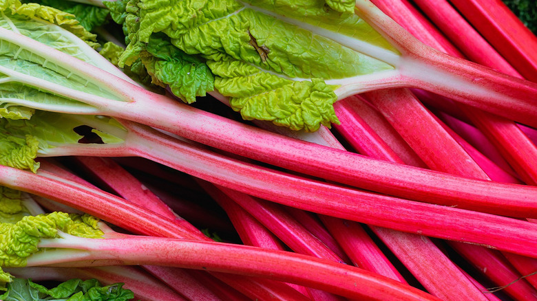 rhubarb