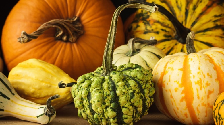 Variety of squash and pumpkins