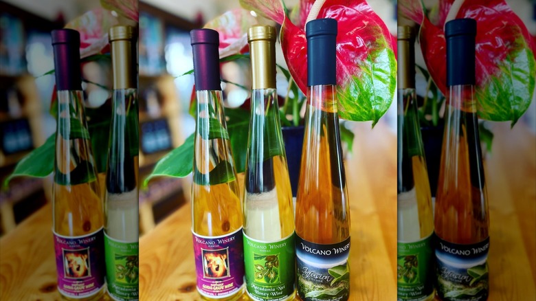 Three thin bottles of Volcano Winery wines on a wooden table with colorful labels and tropical leaves in the background