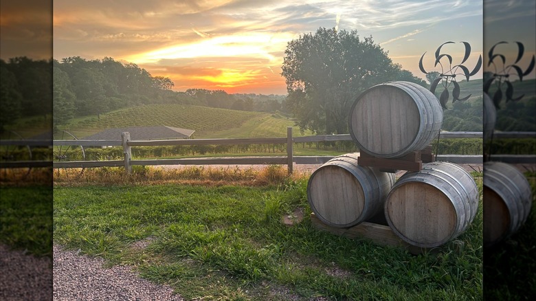 Stacked wooden wine barrels with views of a vineyard at sunset in the background