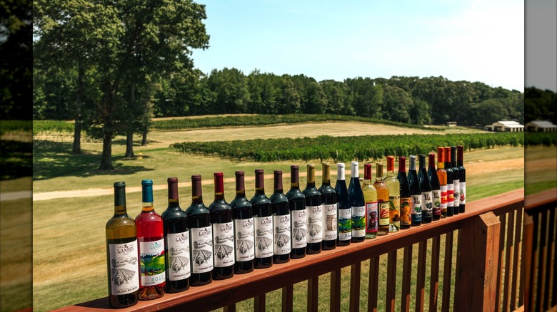 A long row of Landry Vineyards wine bottles lined along a wooden railing, with a rolling vineyard in the background