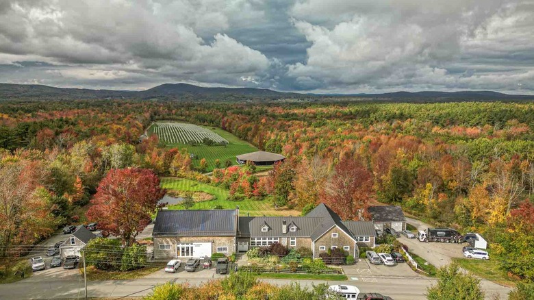 An aerial view of a winery at peak fall foliage
